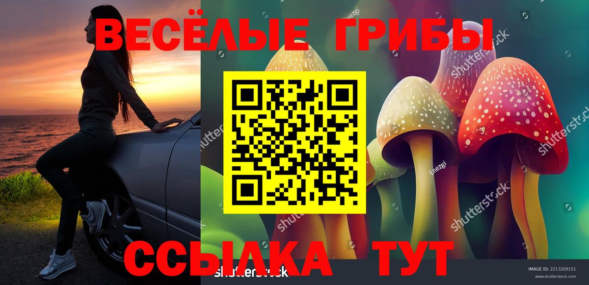Дюртюли  Псилоцибиновые грибы прущие грибы  Вход с VPN 